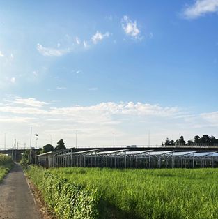 Sistema fotovoltaico de montagem em terras agrícolas no Japão-1MW
